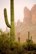 ARIZONA Lost Dutchman State Park